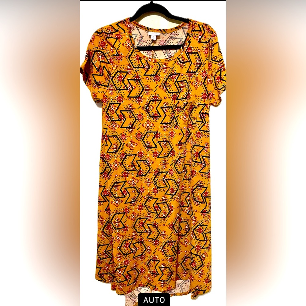 LuLaRoe Carly Dress (Large)